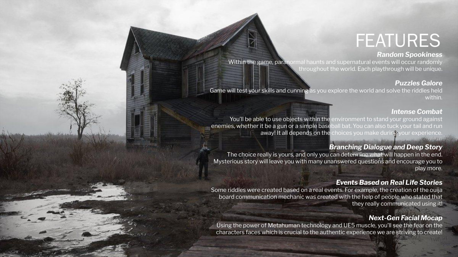 Stray Souls Pitch Deck - page 3
